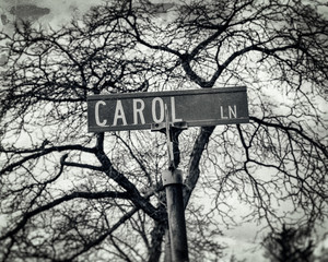 Carol Name Street Sign