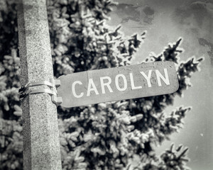 Carolyn Carol Name Street Sign