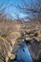 冬の水路