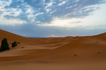 Fototapeta na wymiar SAHARA DESERT MERZOUGA