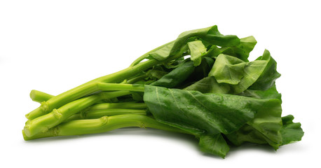 Chinese kale vegetable on white background. (clipping path)