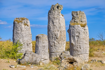 The Stone Desert