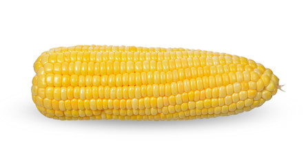 Corn isolated on white background. with clipping paths.