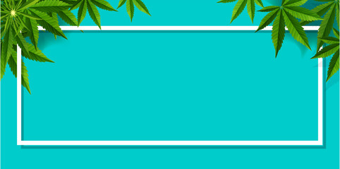 Marijuana plant and cannabis on blue backgrounds.