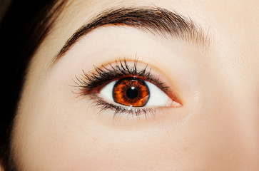 A beautiful insightful look woman's eye. Close up shot