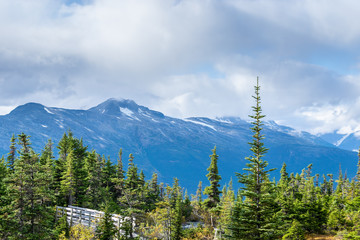 Breathtaking scenic view of clouds touching snow covered mountains and tall pine trees of autumn/fall colors along the Upper Dewey Hiking Trail in Skagway, Alaska