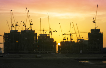 Cranes in Dubai
