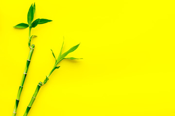 Asia background. Chinese, japanese background. Bamboo branch on yellow background top view space for text