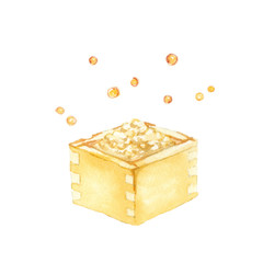 豆　水彩イラスト