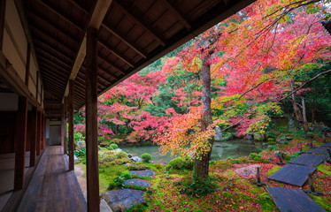 京都　蓮華寺の紅葉　