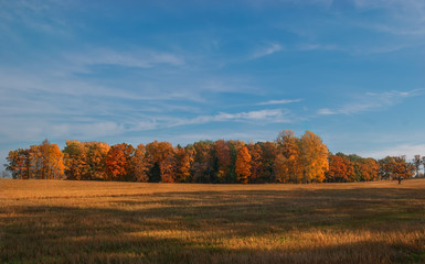 Magnificent autumn sunny landscape