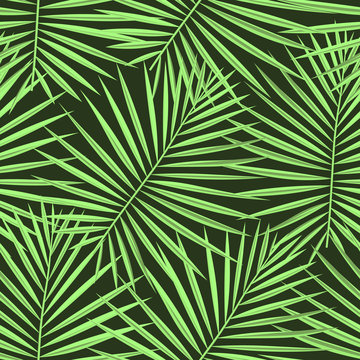 Tropical palm leaves pattern seamless background. Exotic fashion trendy floral foliage pattern. Seamless beautiful botany palm tree summer decoration design.Vector pattern print for swimwear wrapping.