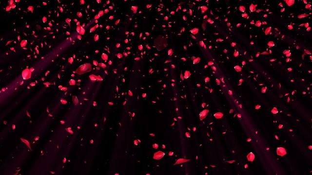 Abstract background with flying red rose petals, wedding and romantic style, 3d rendering computer generated background