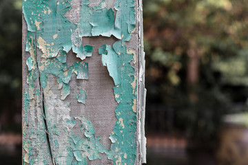 Peeling paint wooden pole