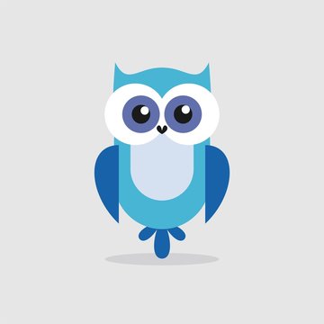 owl illustration isolated on white background