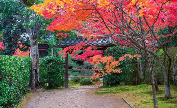 42 Best 一休さん Images Stock Photos Vectors Adobe Stock 42 Best 一休さん Images Stock Photos Vectors Adobe Stock