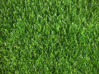close up pattern of artificial healthy green grass, texture of green grass top view background, closeup of artificial green mat or carpet texture background