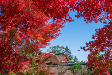 京都　北野天満宮　もみじ苑の紅葉　