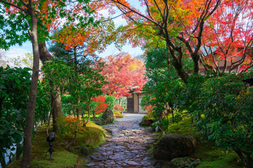 Fototapeta na wymiar 京都　高台寺の紅葉