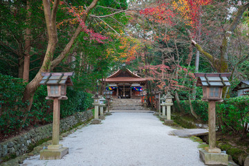 Naklejka premium 京都 太田神社の紅葉