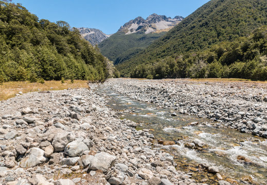 Hamilton River In Southern Alps, South Island, New Zealand