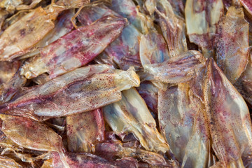 Dry squid close up