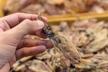 hand hold Dry squid close up