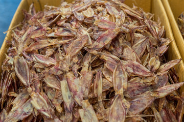 Dry squid close up