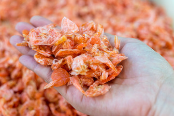 woman hands hold dried shrimp