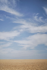 Fototapeta na wymiar Clouds over Ripe Wheat Crop