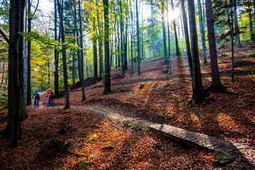 Cycling woman and man at Beskidy mountains spring forest landscape. Couple riding MTB enduro track. Outdoor sport activity.