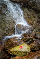 A small waterfall with a red colour leaf in the foreground in Gogaldoor, Kashmir
