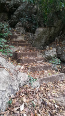 Old stone stairs with dry leaves and dry moss on summer day