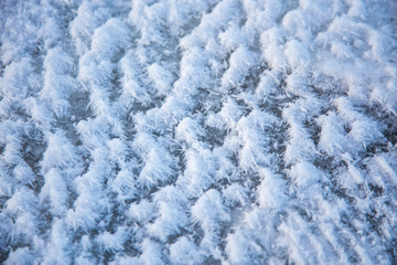 White snow lies on the surface