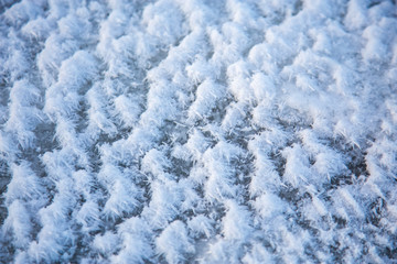 White snow lies on the surface