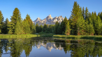 a morning view of grand teton and pine trees beside a pond at schwabachers landing in grand teton...