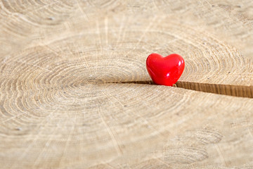 Fototapeta premium Red heart in wooden crack. Valentine day concept.