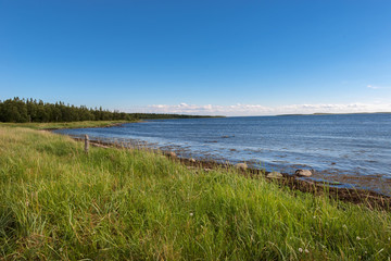 Fototapeta na wymiar Coast of the White Sea on the Great Solovetsky Island