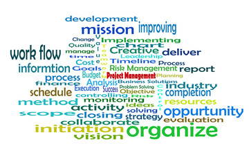 Fototapeta premium Project management word cloud