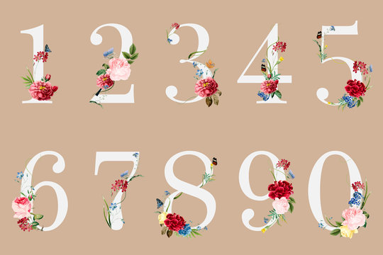 Botanical Numbers With Tropical Flowers Illustration