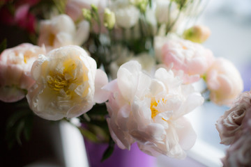 Beautiful White peony flowers in a vase on a window