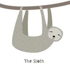 Sloth Character