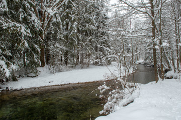 Randonn&eacute;e raquette Valserine