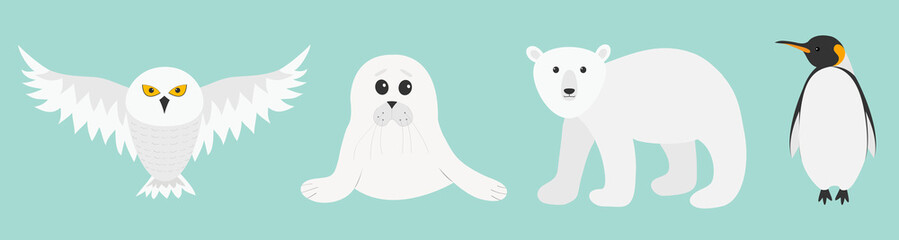 White bear, owl, king penguin Emperor Aptenodytes Patagonicus, Seal pup baby harp. Arctic polar animal set. Kids education cards. Flat design. Winter antarctica blue background.