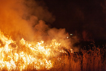 Close up of raging wildfire grassfire with emergency vehicle lights in background. Inspiration image for bushfire warning, summer bushfire warning poster or meme in portrait format