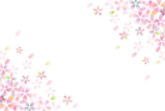 桜　春　花　背景 