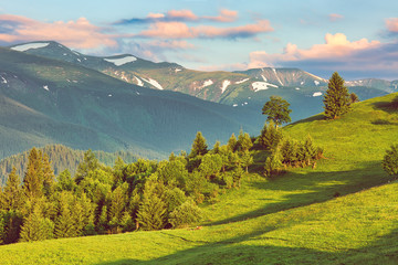 Morning mountain landscape, summertime outdoor background