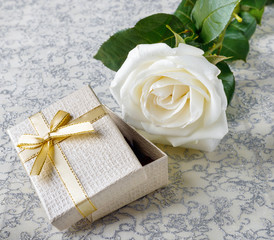 Beautiful white rose with a golden gift box for Valentine's Day