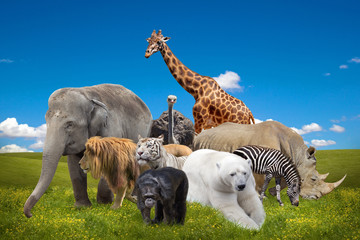 Wild savanna animals collage - Powered by Adobe