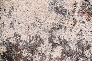 grungy wall Sandstone surface background